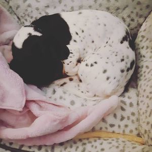 Image post by @hollysmee on Instagram
