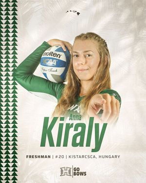 Image post by @hawaiiwvb on Instagram
