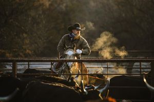 Image post by @schaeferoutfitter on Instagram