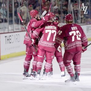 Image post by @arizonacoyotes on Instagram