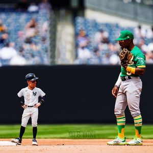 Image post by @mlb.mini on Instagram