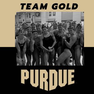 Image post by @purduewswimdive on Instagram
