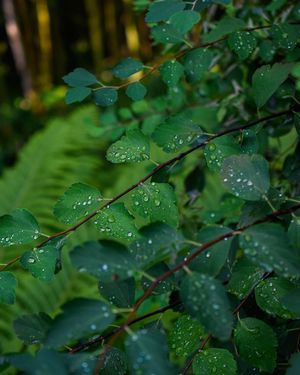 Image post by @ayempics on Instagram