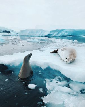 Image post by @moment on Instagram