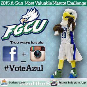 Image post by @fgcuathletics on Instagram