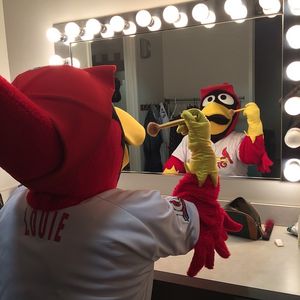 Image post by @springfield_cardinals on Instagram