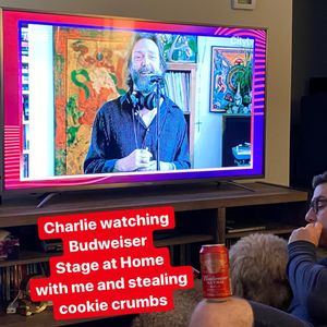 Image post by @stevedangle on Instagram