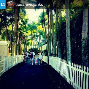 Image post by @miamiopen on Instagram