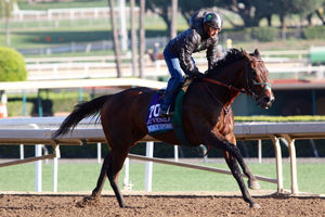 Image post by @spendthriftfarm on Instagram