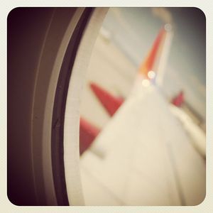 Image post by @themralex on Instagram