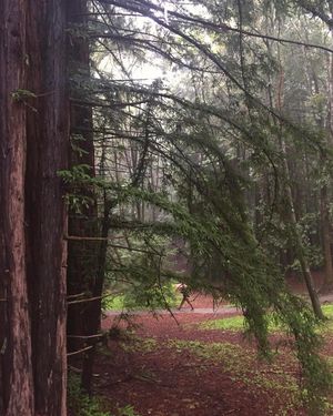 Image post by @ucsc on Instagram