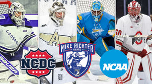 Image post by @usphlhockey on Instagram