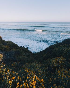 Image post by @ryxnlevy on Instagram