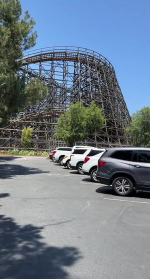 Video post by @cowmissing on Twitter