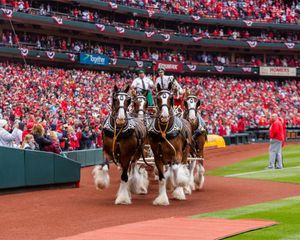 Image post by @AnheuserBusch on Facebook