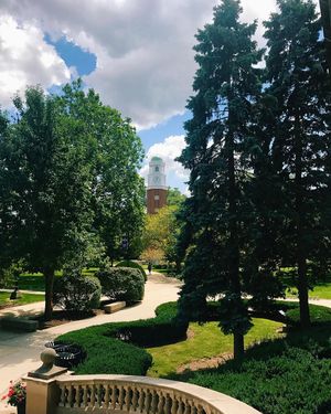 Image post by @olivetnazarene on Instagram