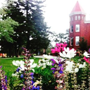 Image post by @nauflagstaff on Instagram