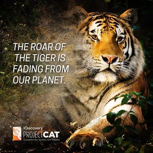 Image post by @animalplanet on Instagram