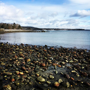 Image post by @themainemag on Instagram