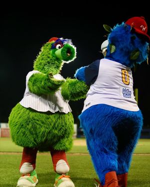 Image post by @crosscutters on Instagram
