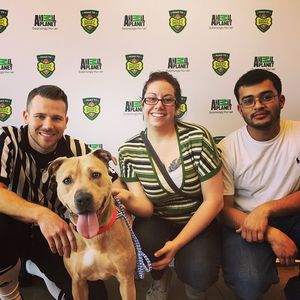 Image post by @animalplanet on Instagram