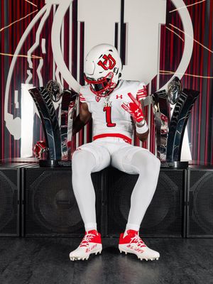 Image post by @raabbit2x on Twitter