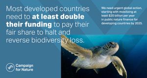 Image post by @Greenpeace on Twitter