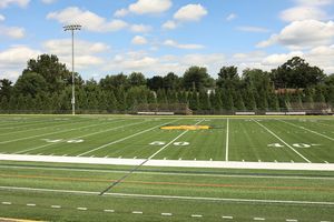 Image post by @dvuaggies on Instagram