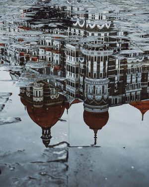 Image post by @moment on Instagram