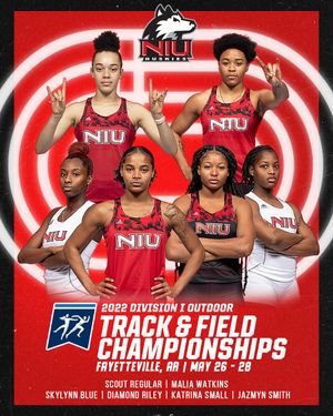 Image post by @NIUXCTrack on Twitter