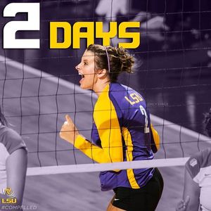 Image post by @lsuvolleyball on Instagram