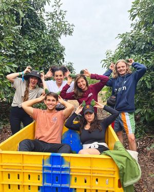 Image post by @birthrightisrael on Instagram