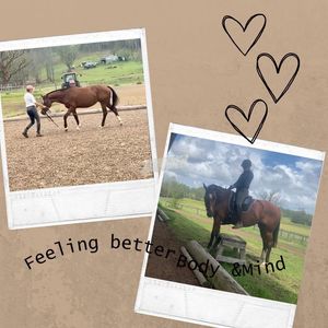 Image post by @ankehawkebalanceddressage on Facebook