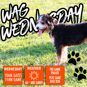 Image post by @frederickkeys on Instagram