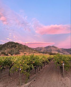 Image post by @cherrybombe on Instagram