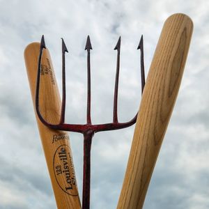 Image post by @witimberrattlers on Instagram