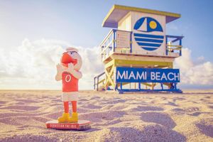 Image post by @univmiami on Instagram