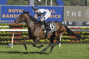 Image post by @australianturfclub on Instagram