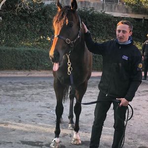 Image post by @australianturfclub on Instagram