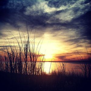 Image post by @mollybdon on Instagram