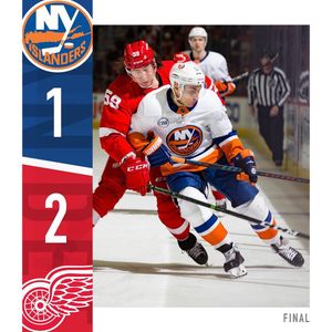 Image post by @nyislanders on Instagram