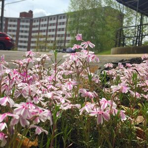 Image post by @uofnh on Instagram