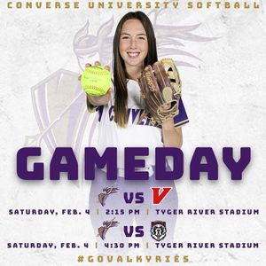 Image post by @valkyriessoftball on Instagram