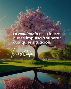Image post by @ismaelcala on Instagram