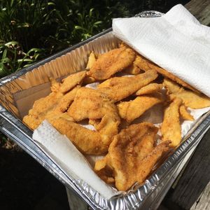 Image post by @lafishfry on Instagram