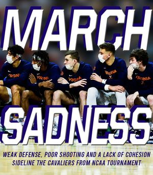 Image post by @cavalierdaily on Instagram