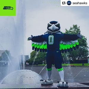 Image post by @blitztheseahawk on Instagram