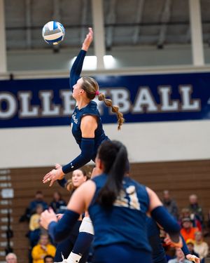 Image post by @montanastatebobcats on Instagram