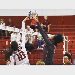 Image post by @stagsvb on Instagram