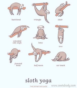 Image post by @zeetabody on Instagram